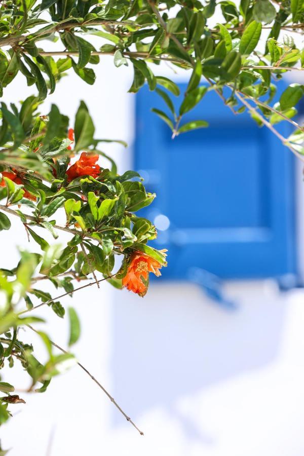 Mykonos In White Villa Mykonos Town Ngoại thất bức ảnh